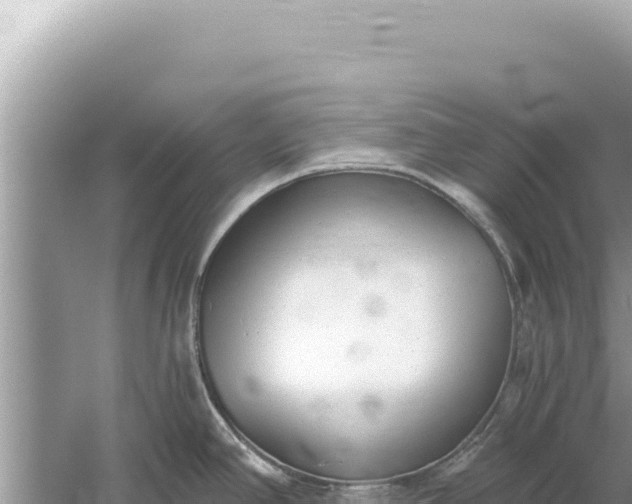 X0000059041390200510211922