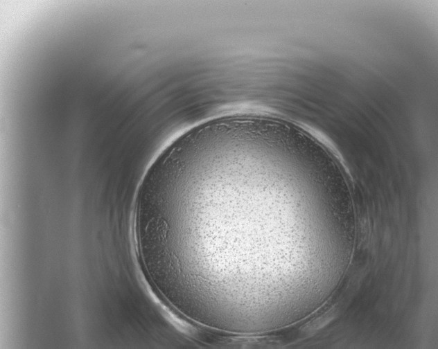 X0000059041391200510211922