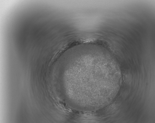 X0000059041393200510211921