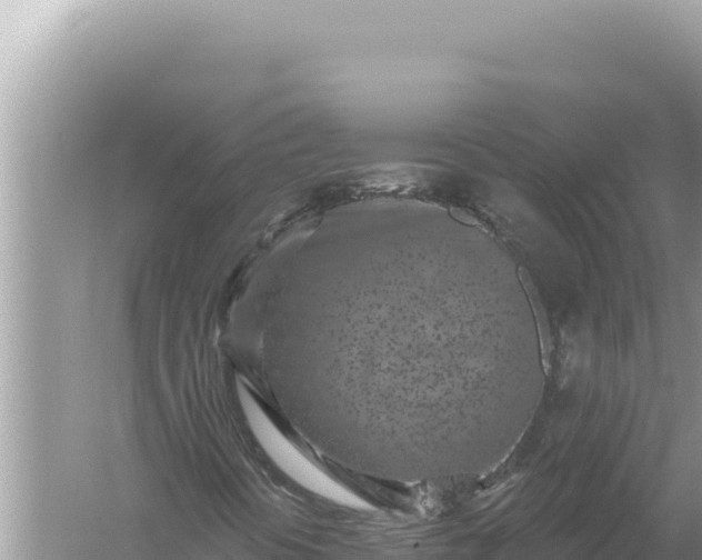 X0000059041394200510211921