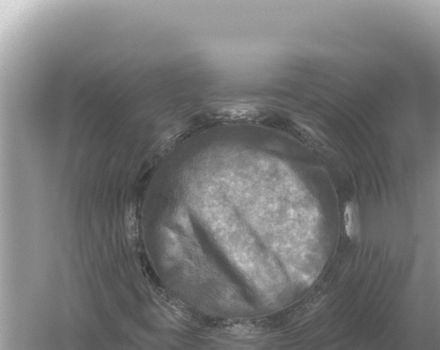 X0000059041395200510211921