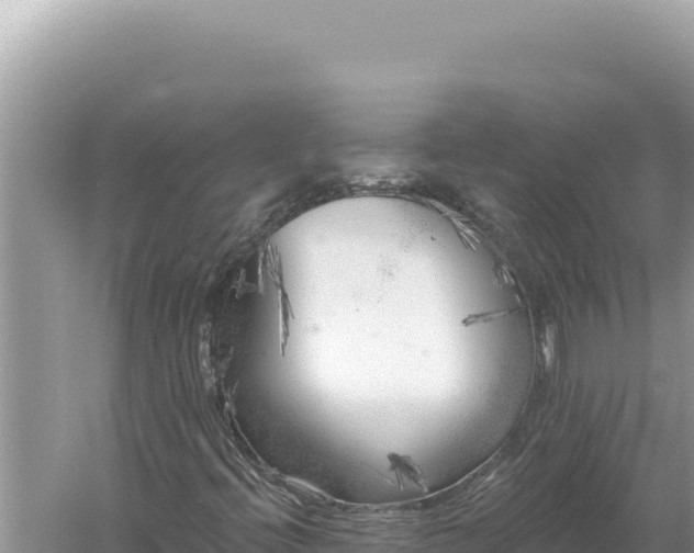 X0000059041396200510211921