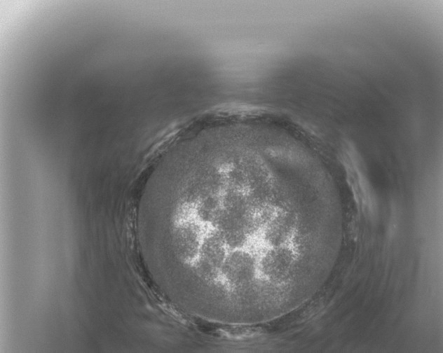 X0000059041397200510211921