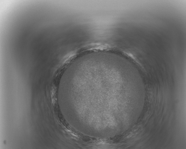 X0000059041399200510211922