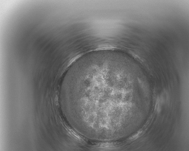 X0000059041401200510211922