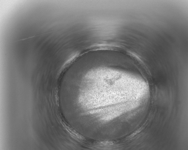 X0000059041403200510211922