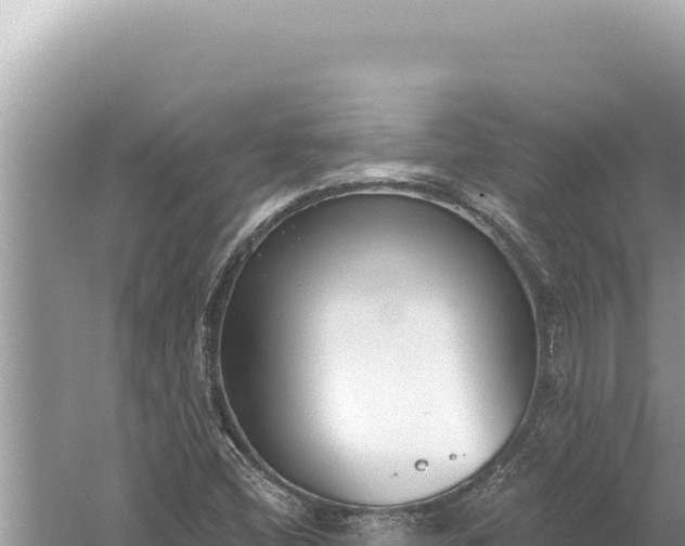 X0000059041404200510211922