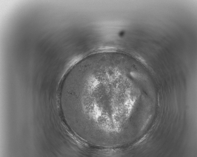 X0000059041405200510211922