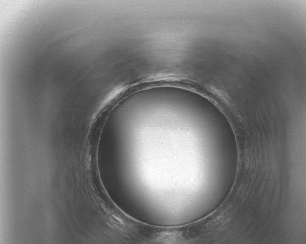 X0000059041406200510211922