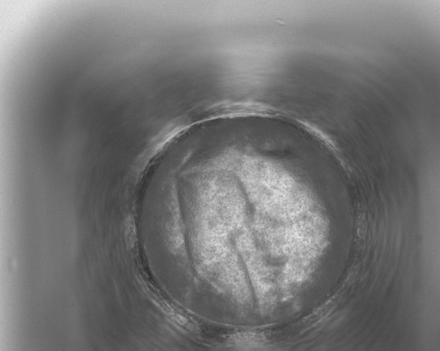 X0000059041407200510211922