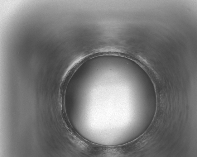 X0000059041408200510211922