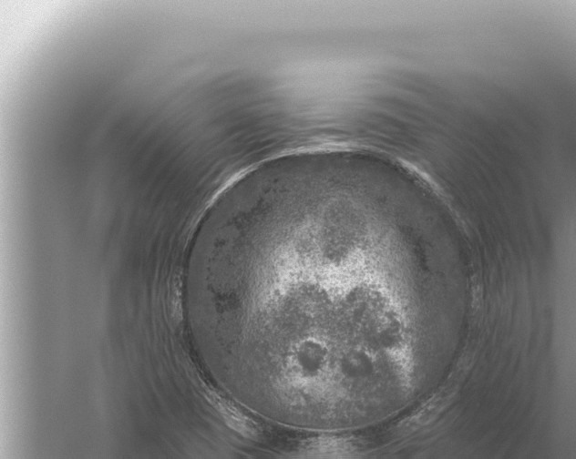 X0000059041409200510211922