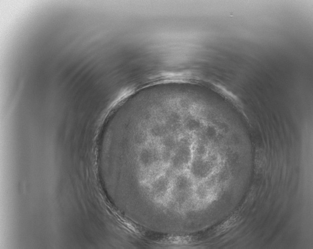 X0000059041411200510211922