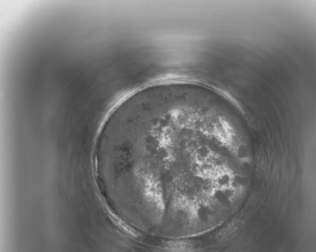 X0000059041413200510211922