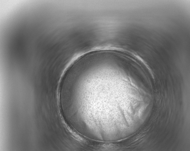 X0000059041416200510211922