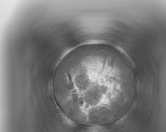 X0000059041417200510211922