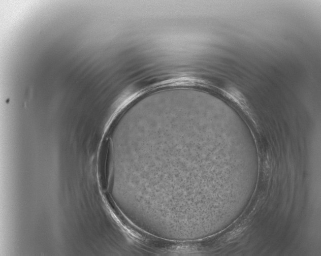 X0000059041418200510211922