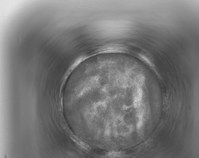 X0000059041419200510211922