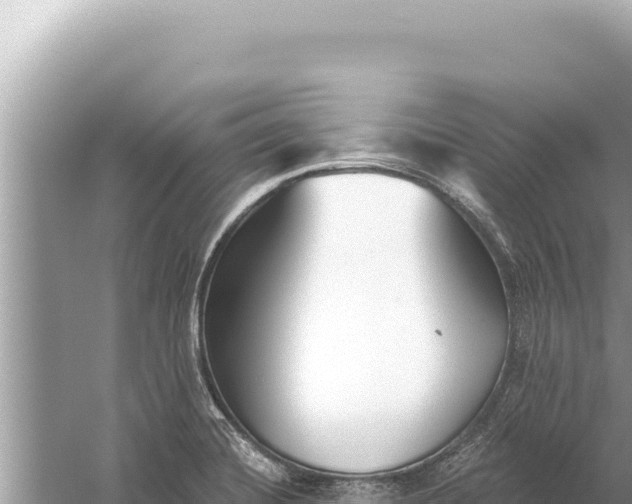 X0000059041420200510211922