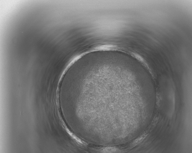 X0000059041421200510211922