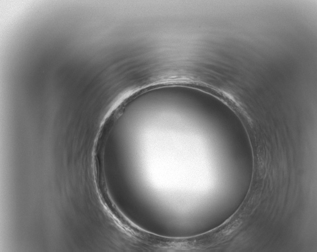 X0000059041422200510211922