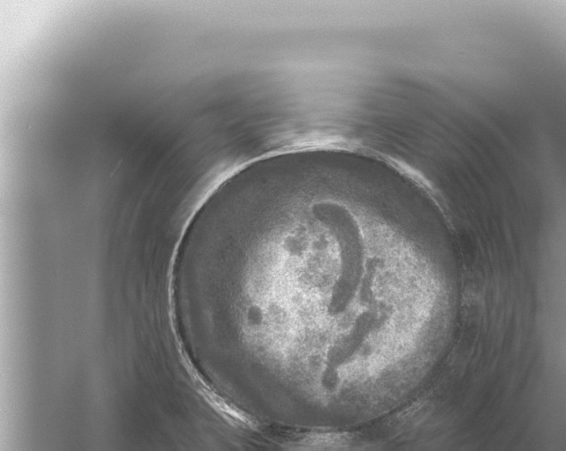 X0000059041423200510211922