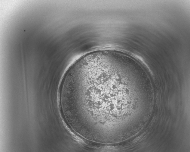 X0000059041424200510211922