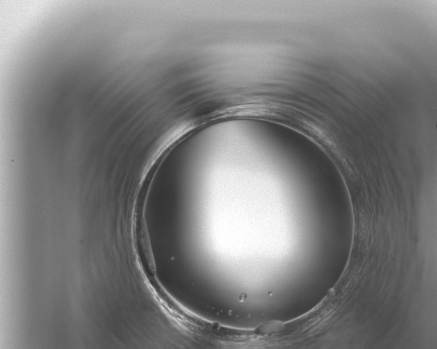 X0000059041426200510211922