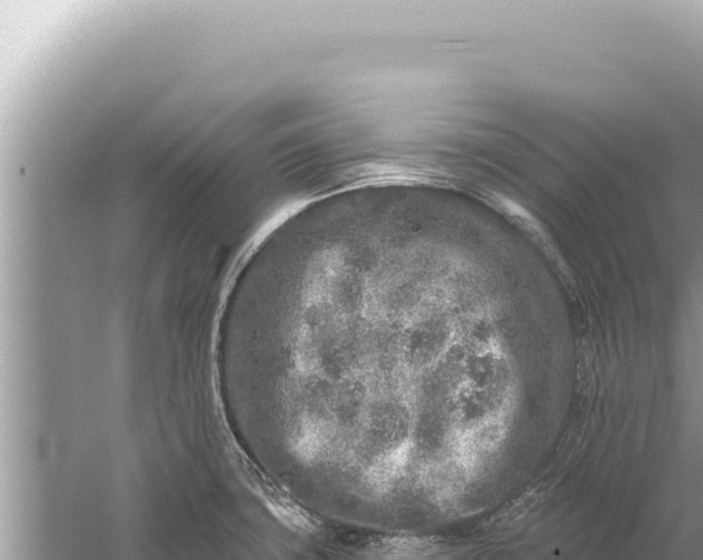 X0000059041427200510211922