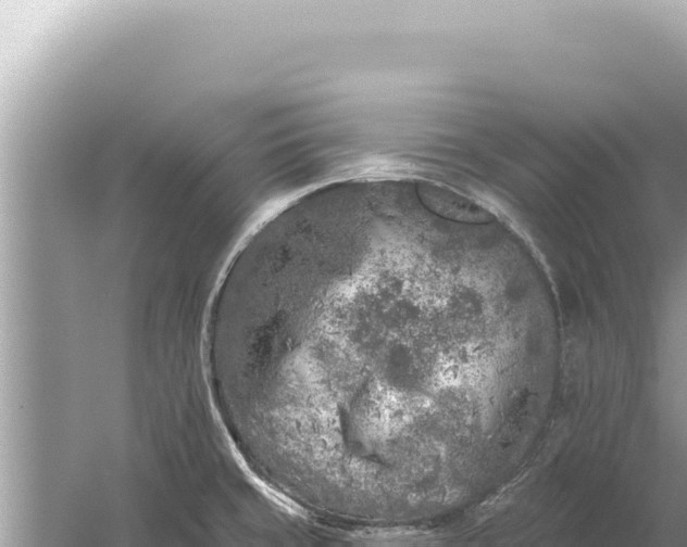 X0000059041429200510211922