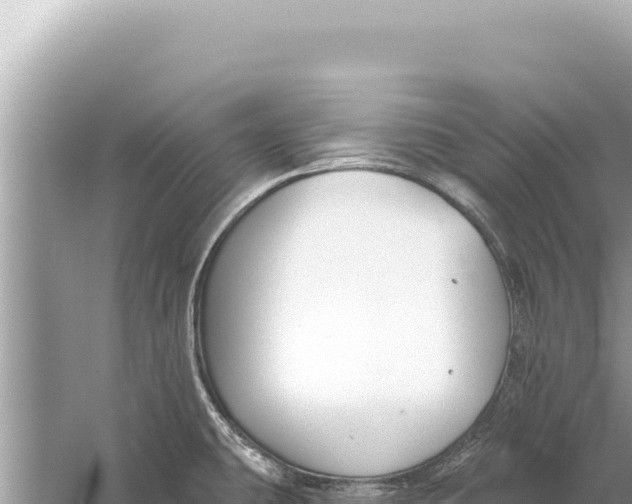 X0000059041431200510211922