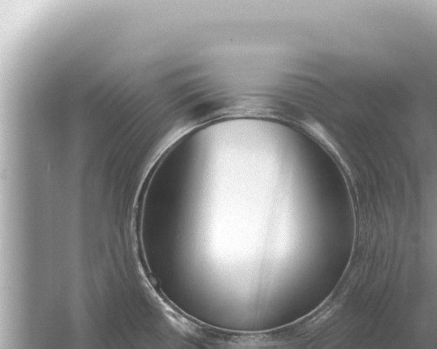 X0000059041434200510211922