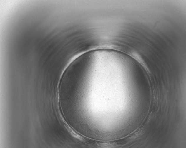 X0000059041436200510211922