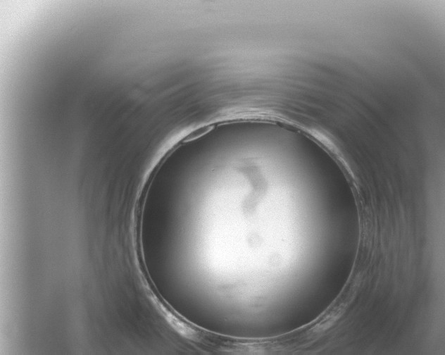 X0000059041438200510211922