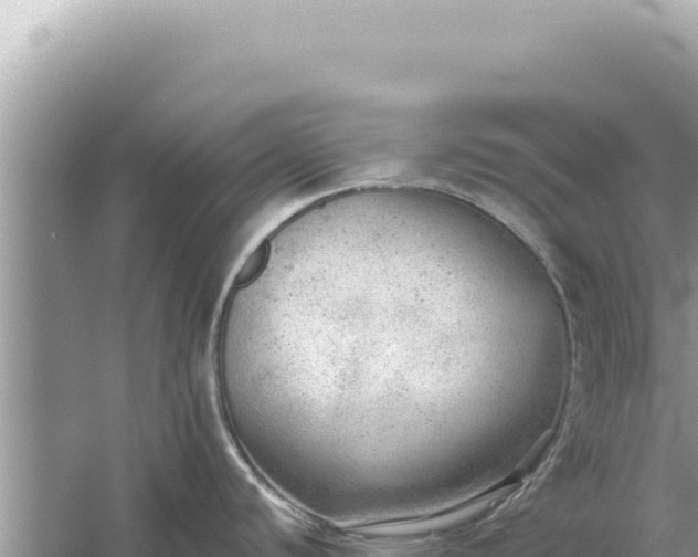 X0000059041440200510211922