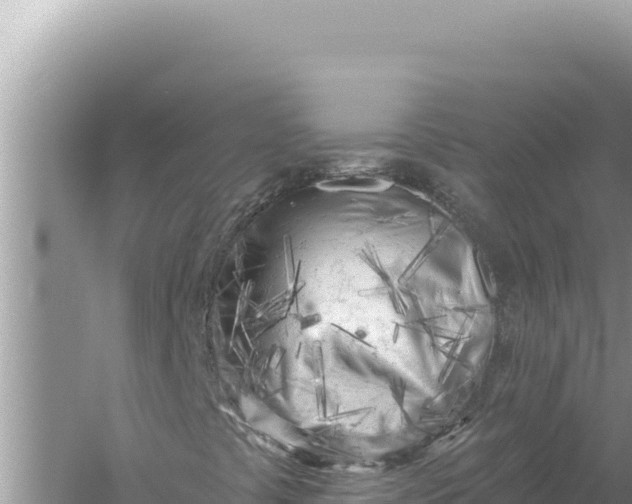 X0000059041441200510211921