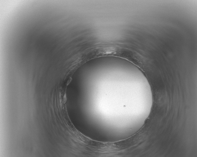 X0000059041442200510211921