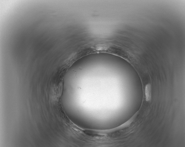 X0000059041443200510211921