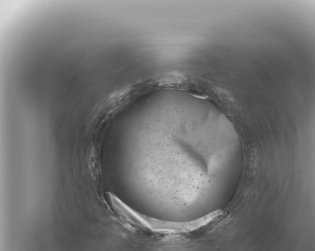 X0000059041445200510211921