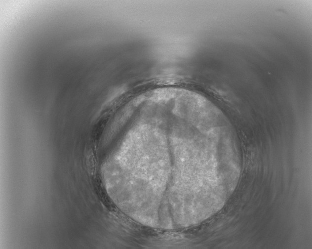 X0000059041446200510211921