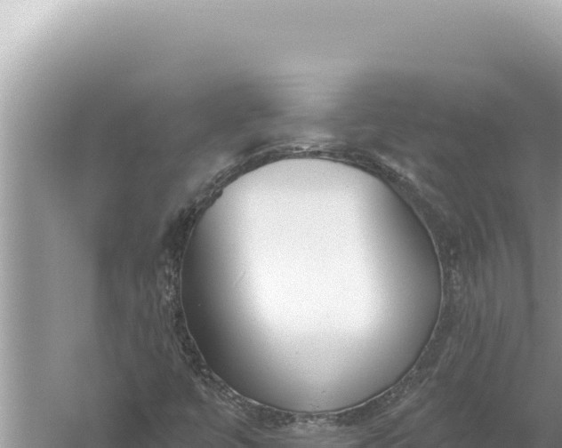 X0000059041447200510211921