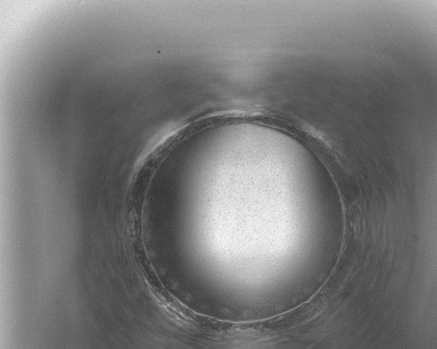 X0000059041448200510211921