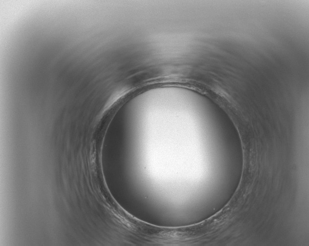 X0000059041450200510211921