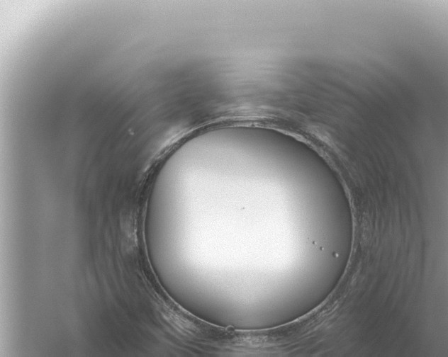 X0000059041451200510211921