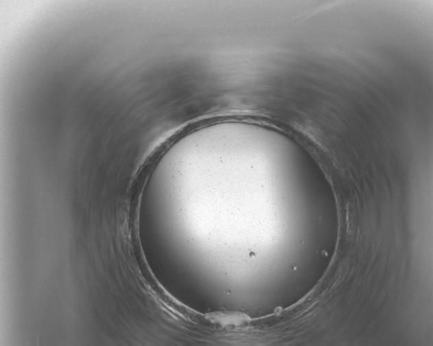 X0000059041452200510211921