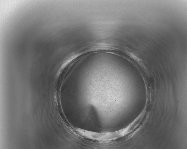 X0000059041453200510211921