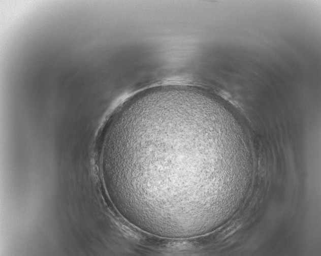 X0000059041454200510211921