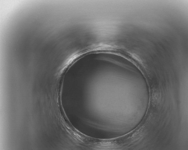 X0000059041455200510211921