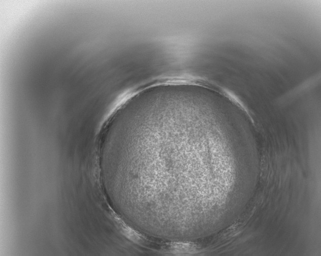 X0000059041456200510211921