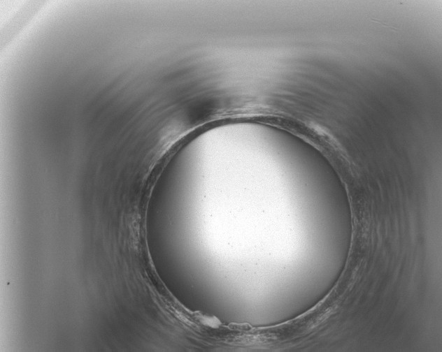 X0000059041457200510211921